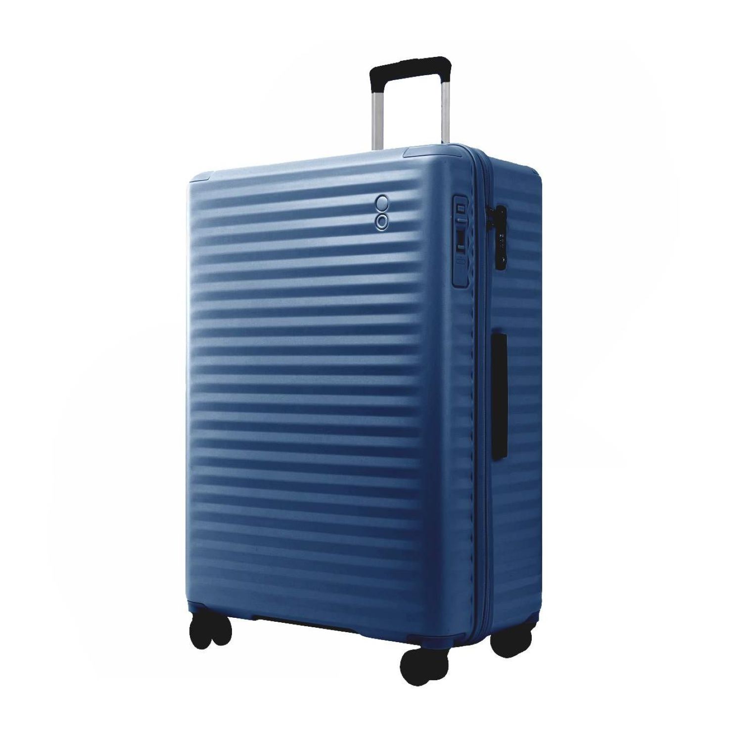 ragdoll luggage